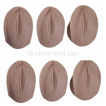 مدل CERVIX و تولد CANAL